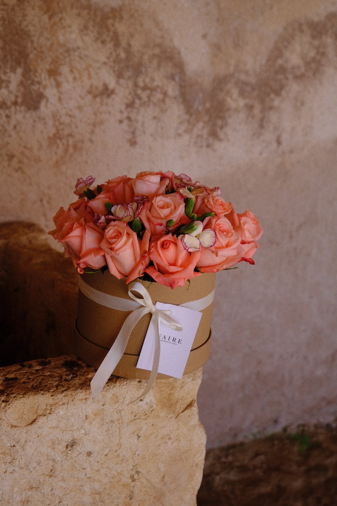 Bloom Box